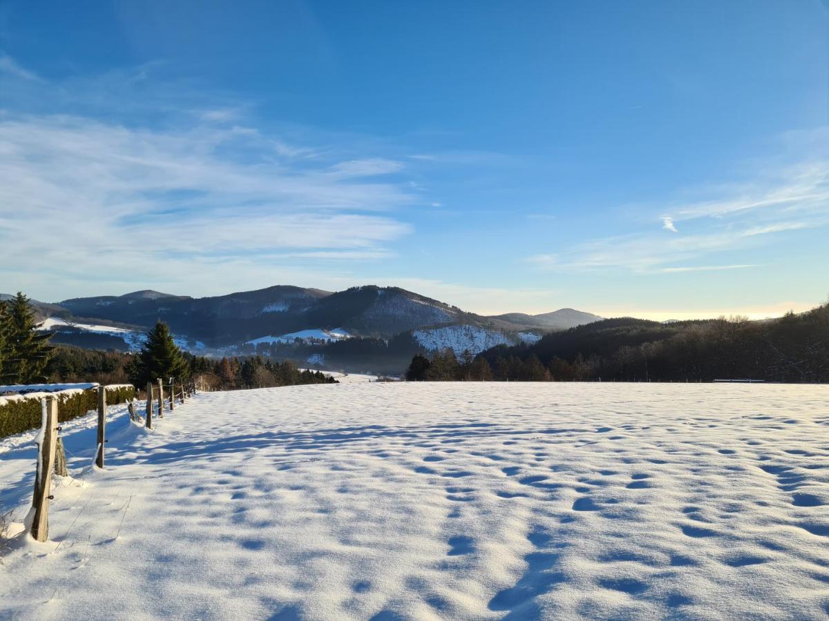 Ferienwohnung Auszeit Winterberg Zentrum Dış mekan fotoğraf