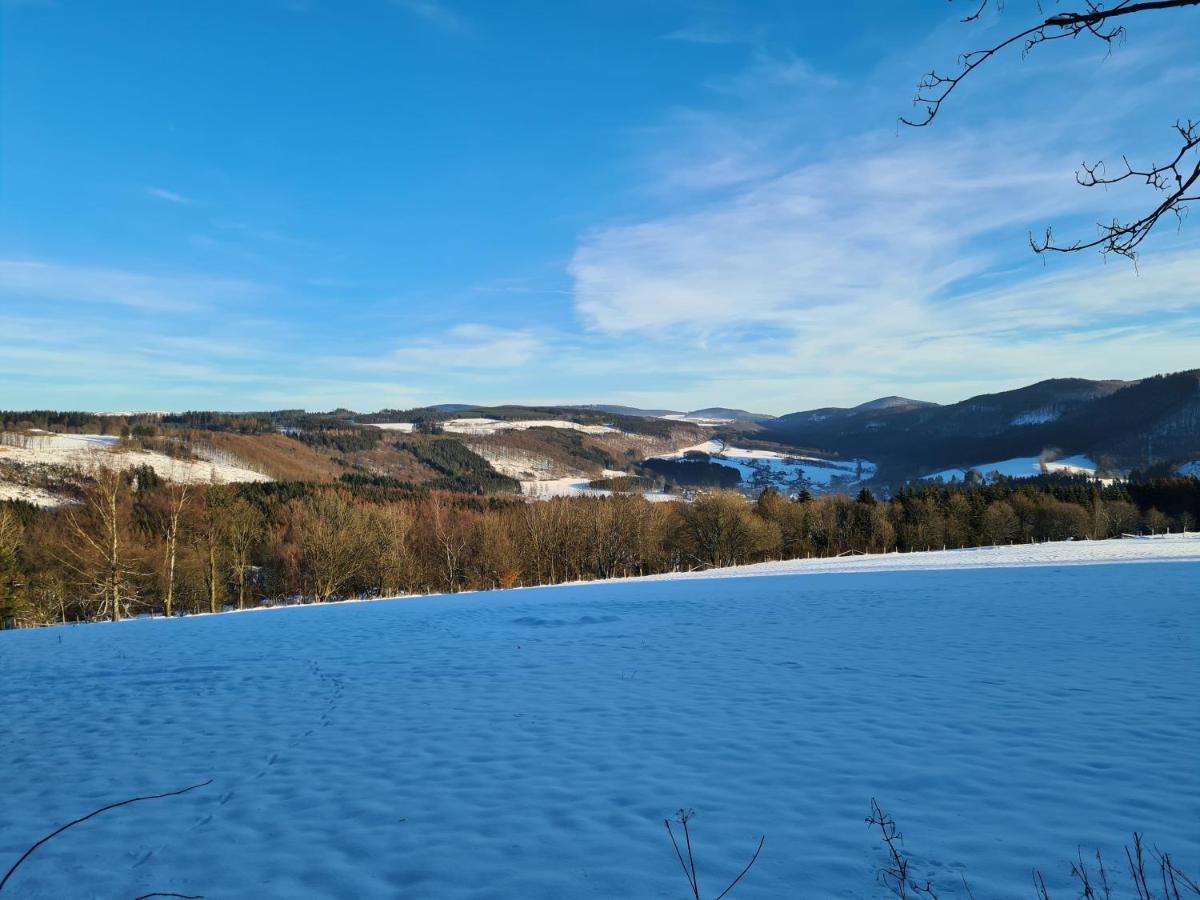 Ferienwohnung Auszeit Winterberg Zentrum Dış mekan fotoğraf